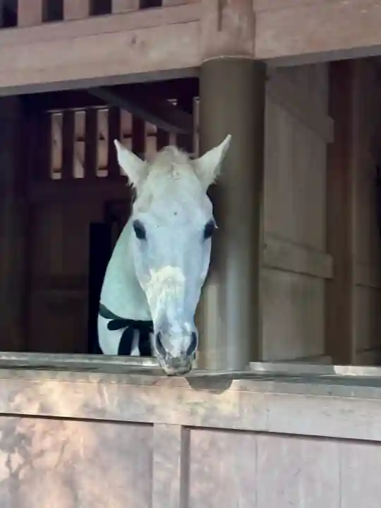 伊勢神宮外宮(豊受大神宮)の{uncategorized: "未分類", other: "その他", undefined: "問題あり", building: "その他建物", grave: "お墓", sacred_gate: "鳥居", guardian: "狛犬", statue: "像", buddha: "仏像", history: "歴史", nature: "自然", garden: "庭園", animal: "動物", pagoda: "塔", temizu: "手水舎", mountain_gate: "山門・神門", sanctuary: "本殿・本堂", subordinate: "末社・摂社", art: "芸術", scenery: "景色", jizo: "地蔵", ema: "絵馬", goshuin: "御朱印", omikuji: "おみくじ", items: "授与品その他", amulet: "お守り", goshuincho: "御朱印帳", eats: "食事", festival: "お祭り", votive_dance: "神楽", shichigosan: "七五三参", wedding: "結婚式", experience: "体験その他", initially: "初詣", around: "周辺", anti_infection: "感染症対策"}