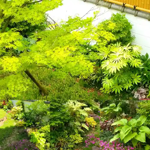 寿量山　速成寺の庭園