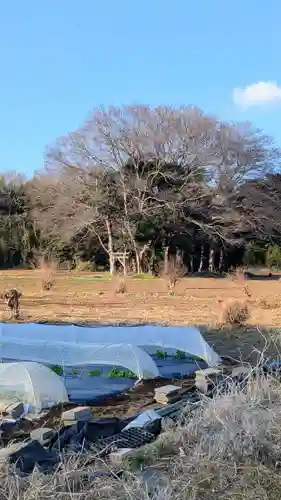 神明神社の景色