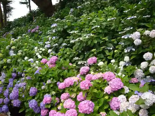 二本松寺の自然