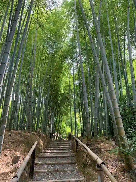 高台寺(高台寿聖禅寺・高臺寺)の周辺