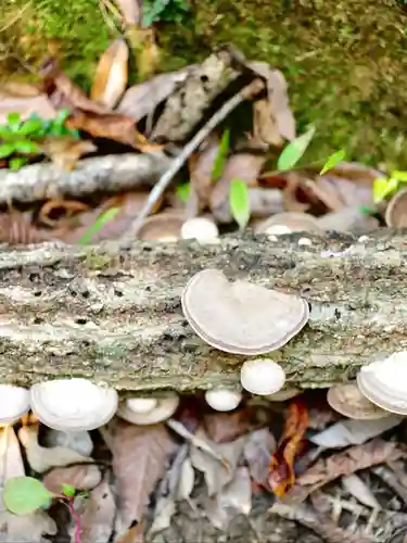 浄土寺(兵庫県)