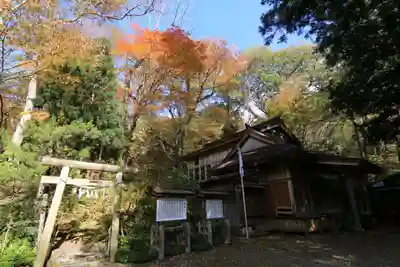 隠津島神社の本殿・本堂
