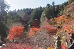 長谷寺の建物その他