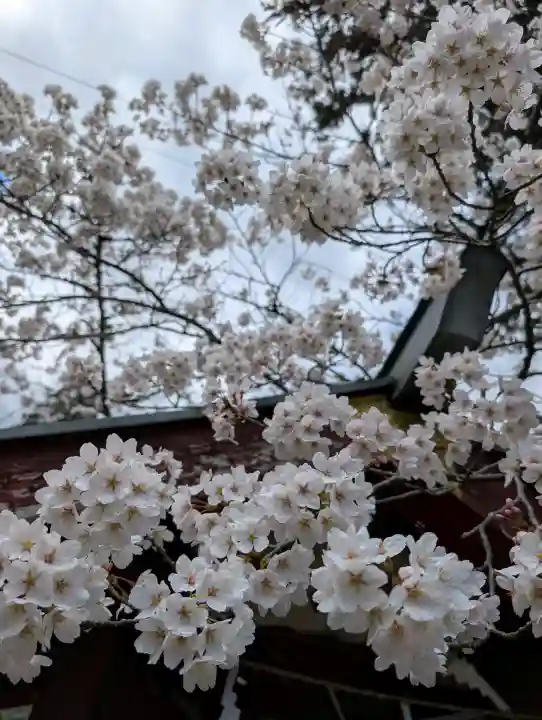 正一位 若草稲荷神社の{uncategorized: "未分類", other: "その他", undefined: "問題あり", building: "その他建物", grave: "お墓", sacred_gate: "鳥居", guardian: "狛犬", statue: "像", buddha: "仏像", history: "歴史", nature: "自然", garden: "庭園", animal: "動物", pagoda: "塔", temizu: "手水舎", mountain_gate: "山門・神門", sanctuary: "本殿・本堂", subordinate: "末社・摂社", art: "芸術", scenery: "景色", jizo: "地蔵", ema: "絵馬", goshuin: "御朱印", omikuji: "おみくじ", items: "授与品その他", amulet: "お守り", goshuincho: "御朱印帳", eats: "食事", festival: "お祭り", votive_dance: "神楽", shichigosan: "七五三参", wedding: "結婚式", experience: "体験その他", initially: "初詣", around: "周辺", anti_infection: "感染症対策"}