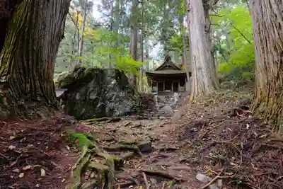 比婆山熊野神社の自然