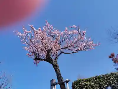 西林寺(群馬県)
