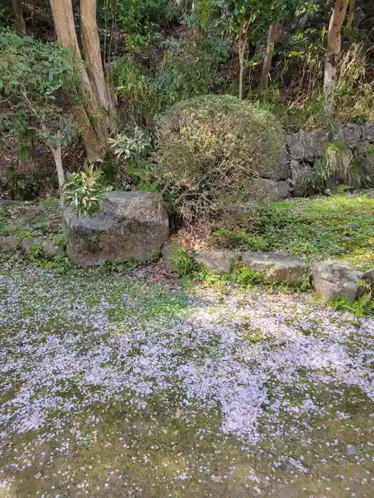 勝持寺(花の寺)(京都府)