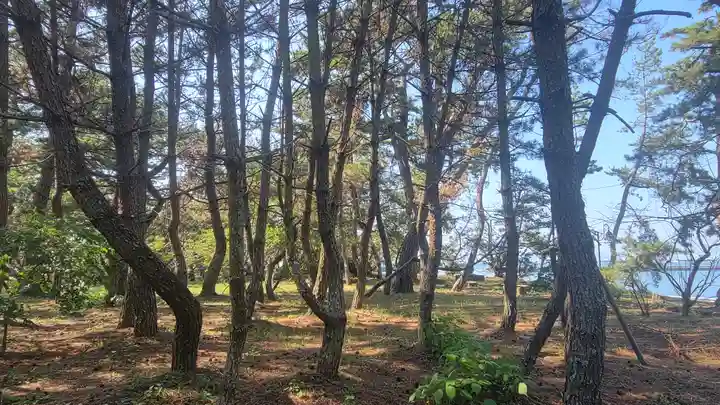 五色濱神社(愛媛県)