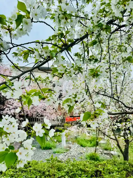 六孫王神社(京都府)