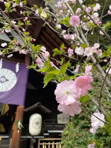 東京大神宮(東京都)