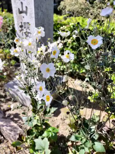 善峯寺(京都府)