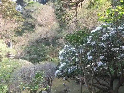 光則寺の庭園