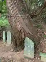 星勝神社(千葉県)