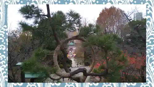 清水観音堂(東京都)