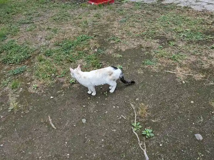 善知鳥神社(青森県)