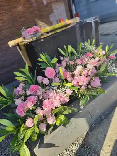 上尾御嶽神社の手水