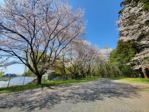 中村八幡宮の自然
