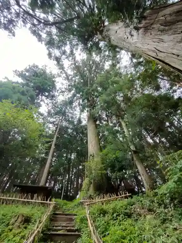 白鳥神社の自然