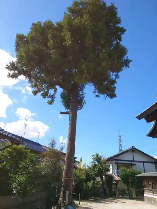 阿須利神社(島根県)