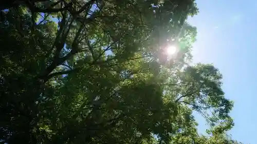 十二所社の自然