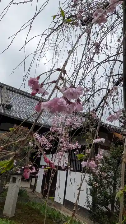 得浄明院(善光寺別院)(京都府)