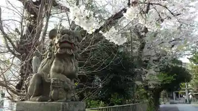 品川貴船神社の狛犬