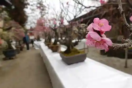 菅原天満宮（菅原神社）のその他建物