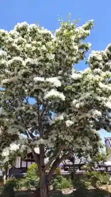 當麻寺西南院(奈良県)