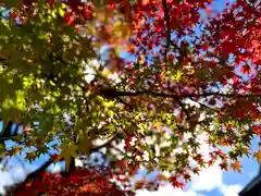 善光寺大本願(長野県)