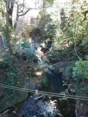 來宮神社(静岡県)