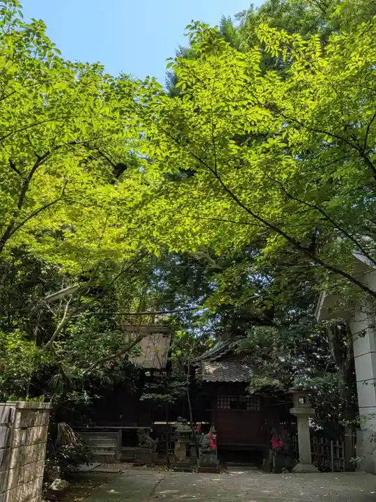 渋谷氷川神社(東京都)