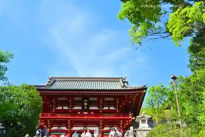 鶴岡八幡宮(神奈川県)