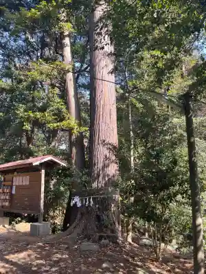 鎌形八幡神社の{uncategorized: "未分類", other: "その他", undefined: "問題あり", building: "その他建物", grave: "お墓", sacred_gate: "鳥居", guardian: "狛犬", statue: "像", buddha: "仏像", history: "歴史", nature: "自然", garden: "庭園", animal: "動物", pagoda: "塔", temizu: "手水舎", mountain_gate: "山門・神門", sanctuary: "本殿・本堂", subordinate: "末社・摂社", art: "芸術", scenery: "景色", jizo: "地蔵", ema: "絵馬", goshuin: "御朱印", omikuji: "おみくじ", items: "授与品その他", amulet: "お守り", goshuincho: "御朱印帳", eats: "食事", festival: "お祭り", votive_dance: "神楽", shichigosan: "七五三参", wedding: "結婚式", experience: "体験その他", initially: "初詣", around: "周辺", anti_infection: "感染症対策"}