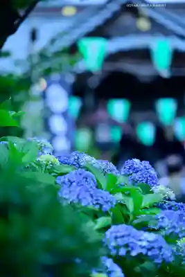 白山神社(東京都)