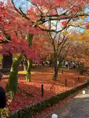 東福禅寺（東福寺）(京都府)