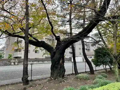 大正寺(東京都)