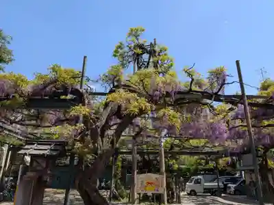 國領神社(東京都)