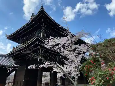 知恩院の本殿・本堂