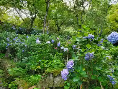長谷寺(奈良県)