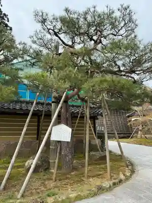 総持寺祖院(石川県)