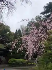 葛西神社の自然