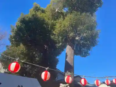 相模原氷川神社のその他建物