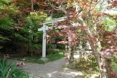 稗田野神社(薭田野神社)の鳥居