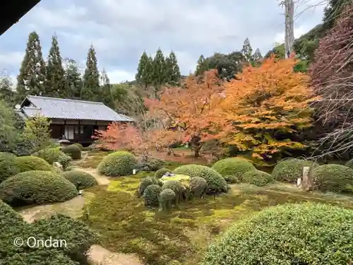 雲龍院の庭園