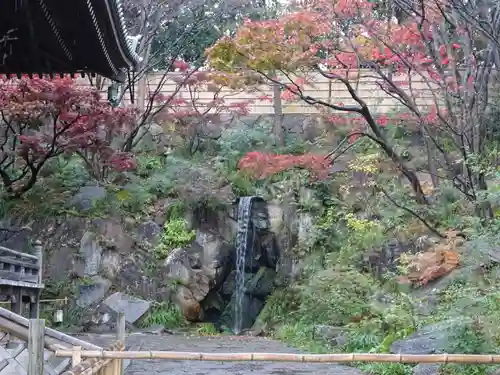 妙蓮寺の庭園