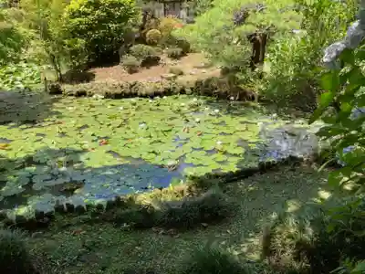 天台宗　長窪山　正覚寺の庭園