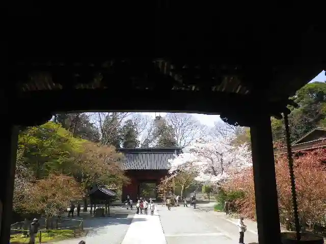 妙本寺の山門・神門