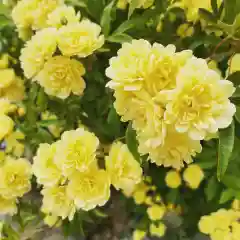 豊景神社の自然