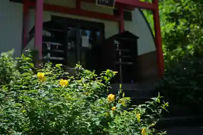 高龍神社(新潟県)